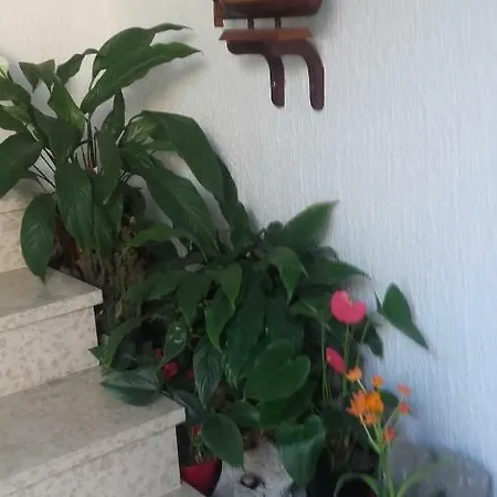 Bojana * Novi Vinodolski