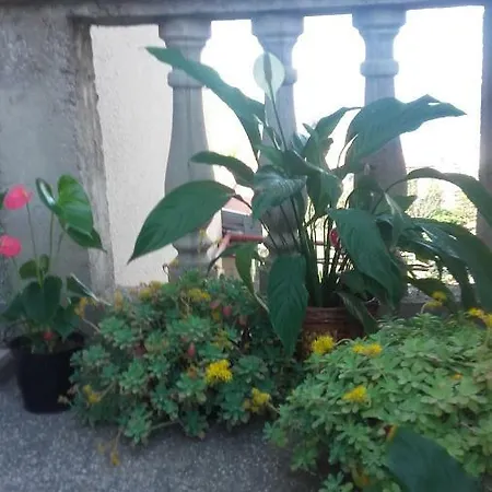 Bojana Novi Vinodolski